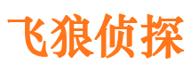 河口区找人公司